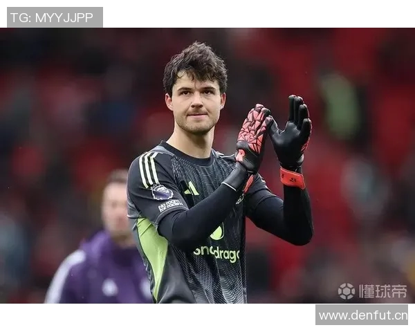 费迪南德称赞拉门斯稳定表现提升全队信心助力战胜桑德兰