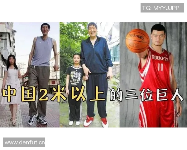 历史上身高2米26的巨人谁最强文班或成第一唯有姚明场均得分超十分 历史上身高2米26的巨人谁最强文班或成第一唯有姚明场均得分超十分