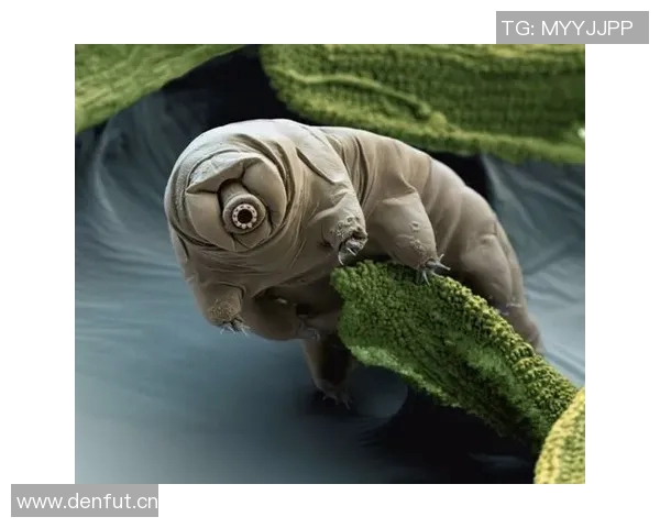 维金斯期待亲历多样物种之地探索宇宙奥秘与生命的奇迹